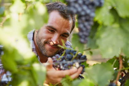 Venituri multiple acceptate